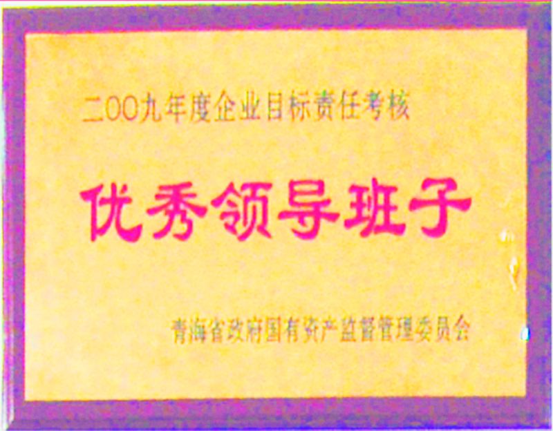 2009年度優(yōu)秀領(lǐng)導(dǎo)班子