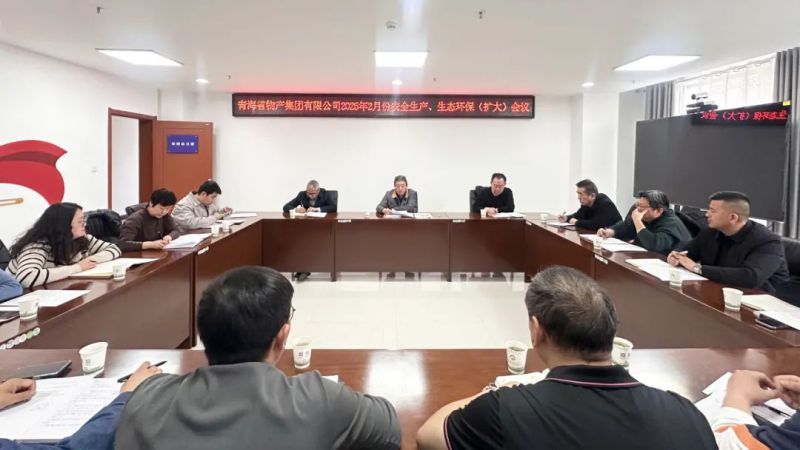 集團召開2025年2月份安全生產(chǎn)、生態(tài)環(huán)保（擴大）會議